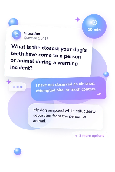 Is My Dog Aggressive: situation and reply bubbles