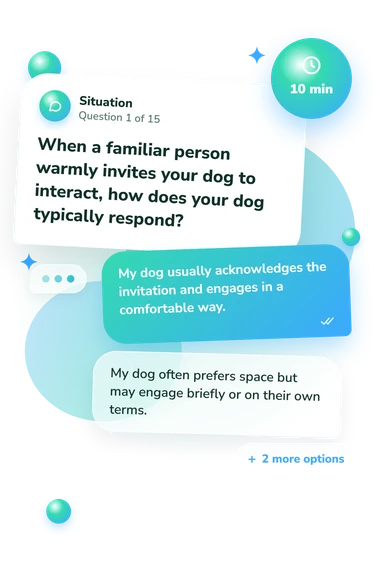 Is My Dog Autistic: what would you do Is My Dog Autistic: situation and reply bubbles