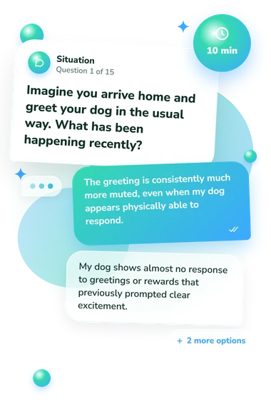 Is My Dog Depressed: what would you do Is My Dog Depressed: situation and reply bubbles