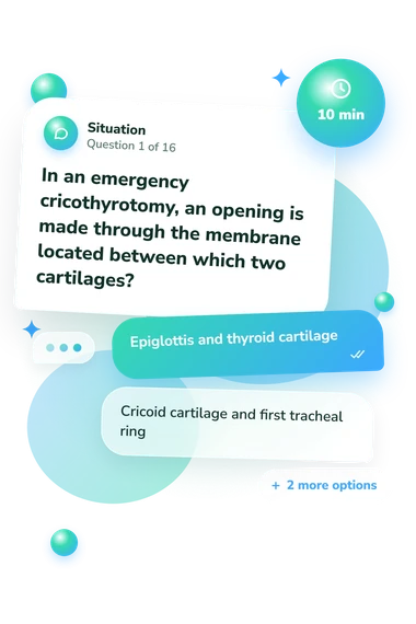 Larynx Anatomy Quiz: situation and reply bubbles