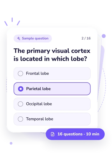 Lobes of the Brain: answers to choose from Lobes of the Brain Quiz: sample question card