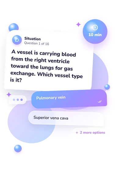Lung Anatomy Quiz: what would you do Lung Anatomy Quiz: situation and reply bubbles