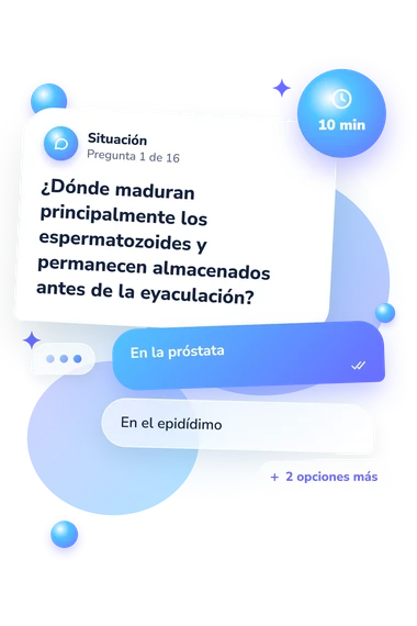 Test cuestionario sobre el aparato: situación y respuestas