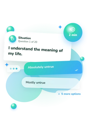 Meaning in Life Questionnaire: situation and reply bubbles