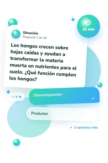 Test cuestionario de secundaria: qué harías tú Test cuestionario de secundaria: situación y respuestas
