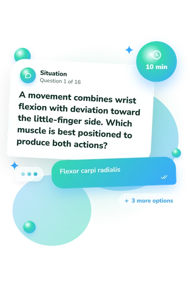 Muscles of the Forearm: what would you do Muscles of the Forearm: situation and reply bubbles