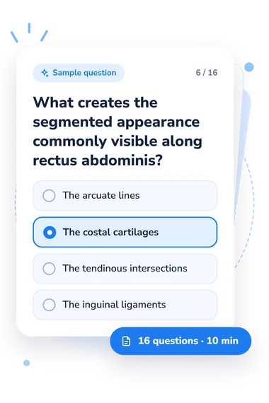 Muscles of the Trunk: answers to choose from Muscles of the Trunk Quiz: sample question card