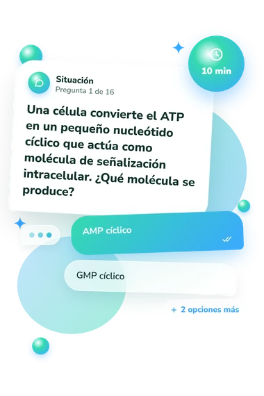 Test cuestionario sobre nucleótidos: situación y respuestas