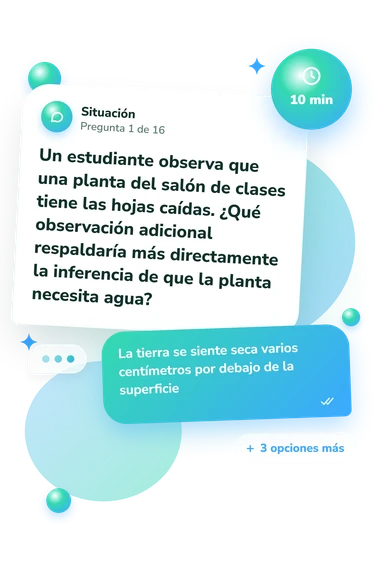 Test cuestionario sobre observación e: situación y respuestas