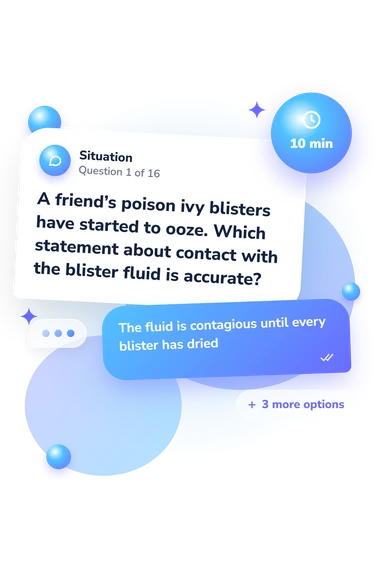 Poison Ivy Quiz: situation and reply bubbles