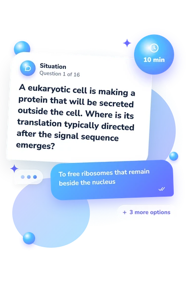 Protein Synthesis Quiz: situation and reply bubbles