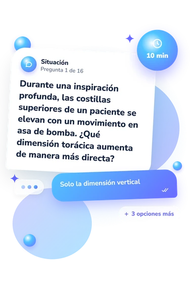 Test cuestionario de anatomía: situación y respuestas