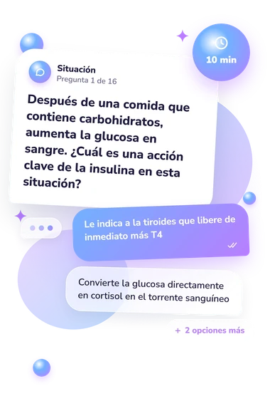 Test cuestionario sobre hormonas: situación y respuestas