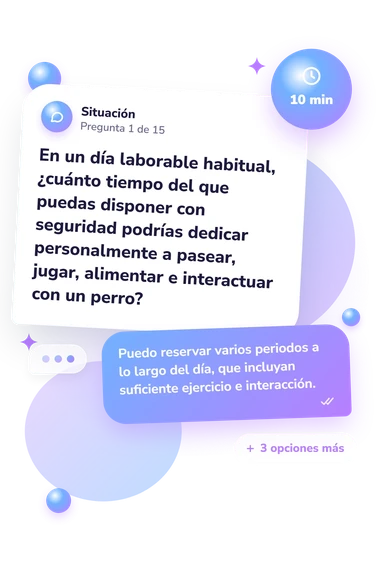 Test cuestionario: ¿Debería tener: situación y respuestas