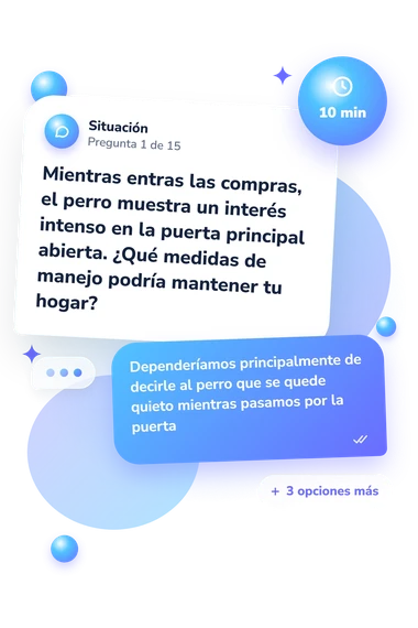 Test cuestionario: ¿Debería tener: situación y respuestas