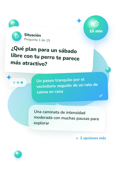 Test ¿Debería elegir un labrador: situación y respuestas