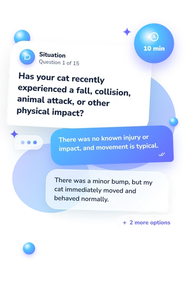 Should I Take My: what would you do Should I Take My: situation and reply bubbles