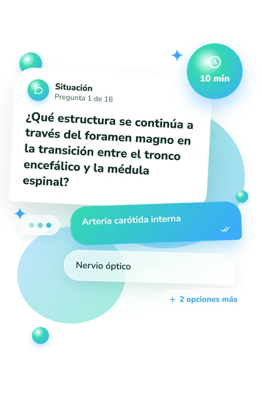Test cuestionario sobre los forámenes: situación y respuestas