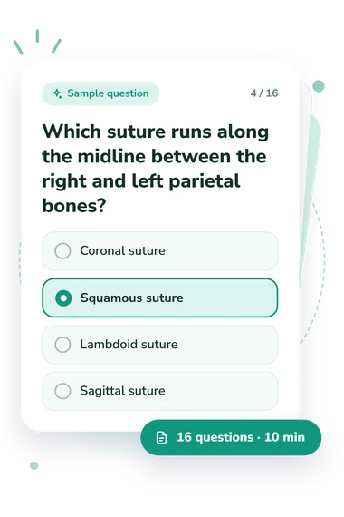 Skull Sutures Quiz: sample question card