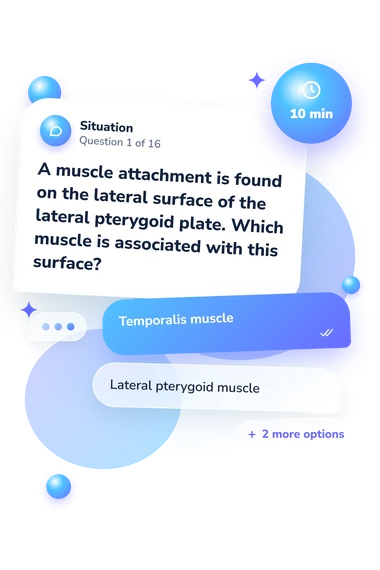 Sphenoid Bone Quiz: situation and reply bubbles