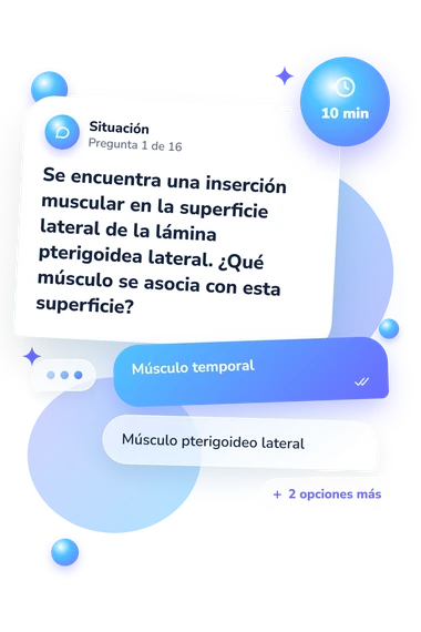 Test cuestionario sobre el hueso: situación y respuestas