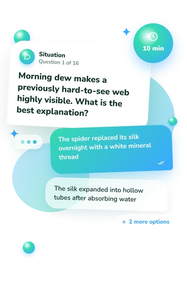 Spider Quiz: situation and reply bubbles