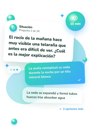 Test cuestionario sobre arañas: qué harías tú Test cuestionario sobre arañas: situación y respuestas