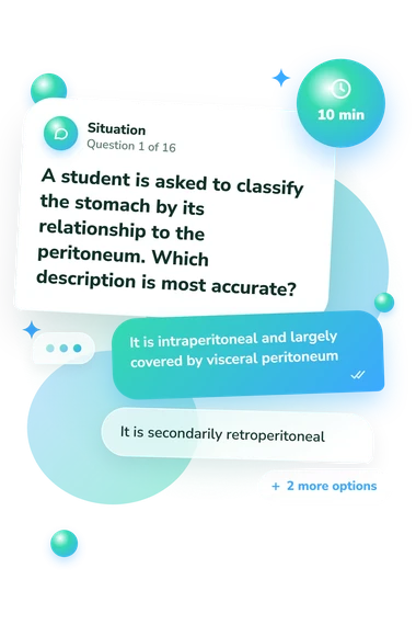 Stomach Anatomy Quiz: what would you do Stomach Anatomy Quiz: situation and reply bubbles