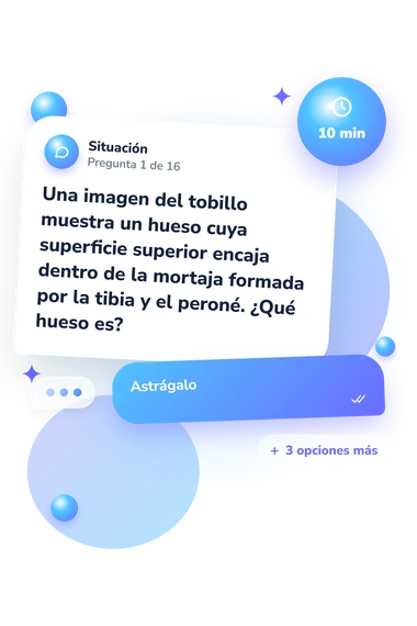 Test cuestionario sobre los huesos: situación y respuestas