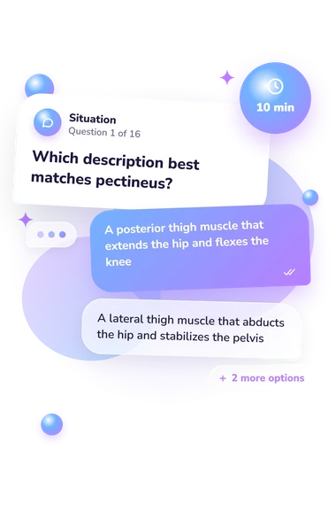 Thigh Muscles Quiz: situation and reply bubbles