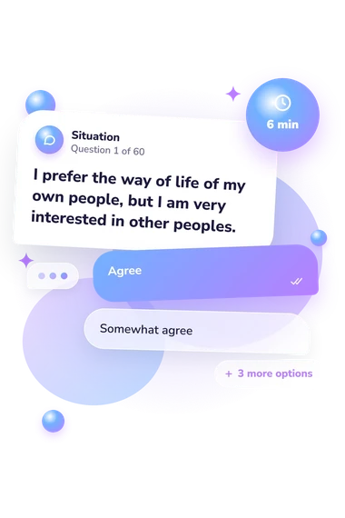 Ethnic Identity Types Questionnaire: situation and reply bubbles