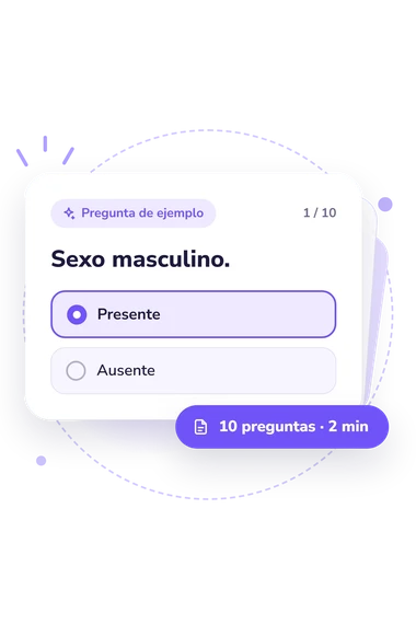 Test escala de evaluación urgente: pregunta y respuestas Test escala de evaluación urgente: tarjeta con pregunta