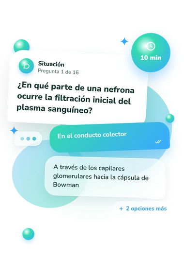 Test cuestionario sobre el sistema: situación y respuestas