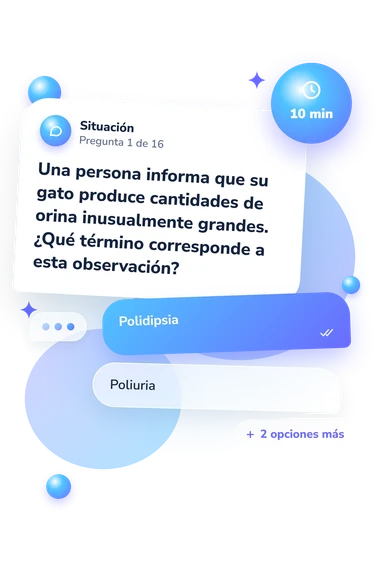 Test cuestionario de terminología veterinaria: tarjeta con pregunta