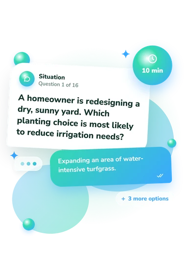 Water Conservation Quiz: what would you do Water Conservation Quiz: situation and reply bubbles