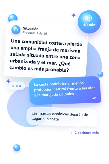 Test cuestionario sobre humedales: qué harías tú Test cuestionario sobre humedales: situación y respuestas
