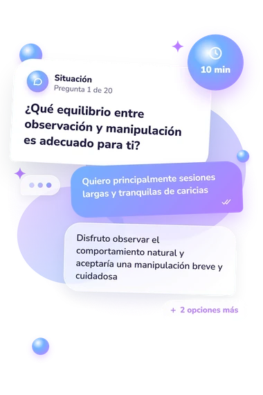 Test cuestionario: ¿Qué mascota pequeña: qué harías tú Test cuestionario: ¿Qué mascota pequeña: situación y respuestas