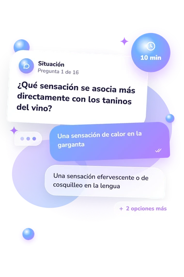 Test cuestionario sobre vinos: situación y respuestas